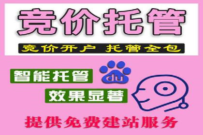 行业趋势下的SEM广告：成功案例与未来展望